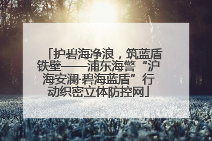 护碧海净浪，筑蓝盾铁壁——浦东海警“沪海安澜·碧海蓝盾”行动织密立体防控网