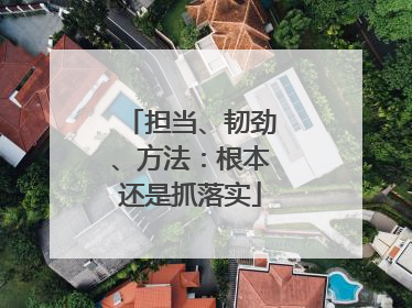 担当、韧劲、方法：根本还是抓落实