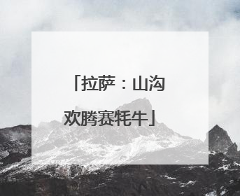 拉萨：山沟欢腾赛牦牛