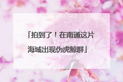 拍到了！在南通这片海域出现伪虎鲸群