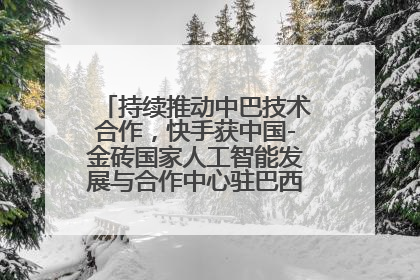 持续推动中巴技术合作，快手获中国-金砖国家人工智能发展与合作中心驻巴西成果转化中心授牌