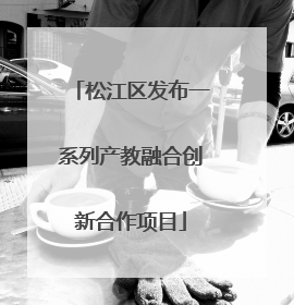 松江区发布一系列产教融合创新合作项目
