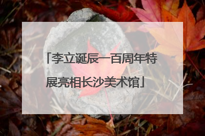 李立诞辰一百周年特展亮相长沙美术馆