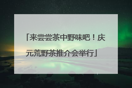来尝尝茶中野味吧！庆元荒野茶推介会举行