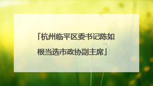 杭州临平区委书记陈如根当选市政协副主席