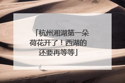 杭州湘湖第一朵荷花开了！西湖的还要再等等