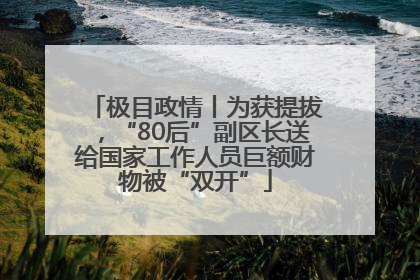 极目政情丨为获提拔，“80后”副区长送给国家工作人员巨额财物被“双开”