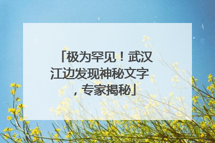 极为罕见！武汉江边发现神秘文字，专家揭秘