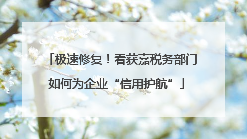 极速修复！看获嘉税务部门如何为企业“信用护航”