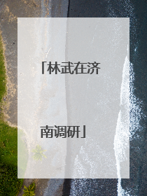 林武在济南调研