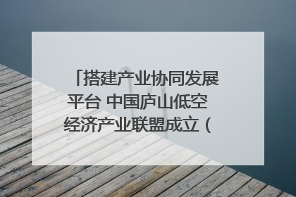 搭建产业协同发展平台 中国庐山低空经济产业联盟成立（组图｜视频）