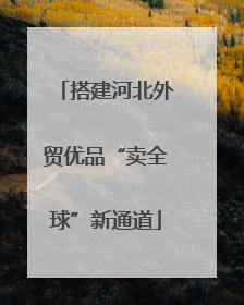 搭建河北外贸优品“卖全球”新通道