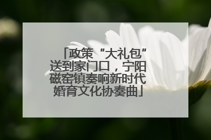 政策“大礼包”送到家门口，宁阳磁窑镇奏响新时代婚育文化协奏曲