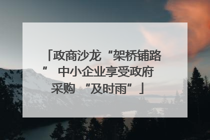 政商沙龙“架桥铺路” 中小企业享受政府采购 “及时雨”