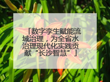 数字孪生赋能流域治理，为全省水治理现代化实践贡献“长沙智慧”