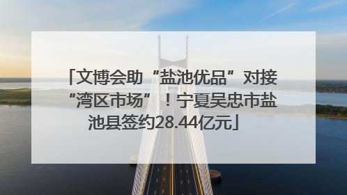 文博会助“盐池优品”对接“湾区市场”！宁夏吴忠市盐池县签约28.44亿元