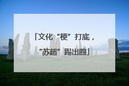 文化“梗”打底，“苏超”踢出圈