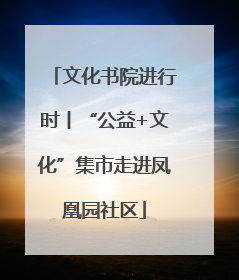 文化书院进行时丨“公益+文化”集市走进凤凰园社区