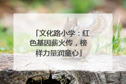 文化路小学：红色基因薪火传，榜样力量润童心