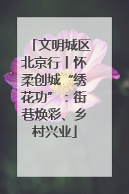 文明城区北京行丨怀柔创城“绣花功”：街巷焕彩、乡村兴业