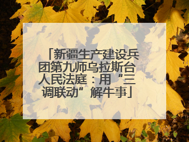 新疆生产建设兵团第九师乌拉斯台人民法庭：用“三调联动”解牛事