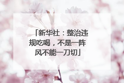 新华社：整治违规吃喝，不是一阵风不能一刀切