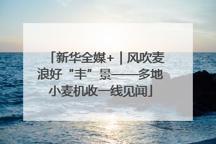 新华全媒+｜风吹麦浪好“丰”景——多地小麦机收一线见闻