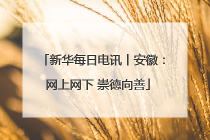 新华每日电讯丨安徽：网上网下 崇德向善