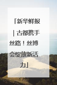 新华鲜报｜古都携手丝路！丝博会绽放新活力