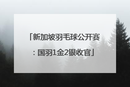 新加坡羽毛球公开赛：国羽1金2银收官