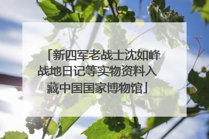 新四军老战士沈如峰战地日记等实物资料入藏中国国家博物馆