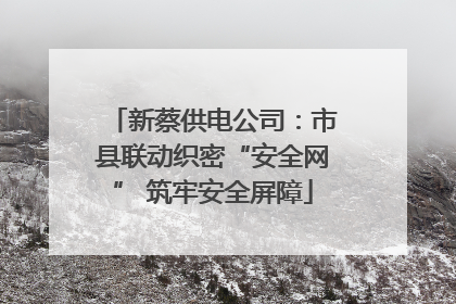 新蔡供电公司：市县联动织密“安全网” 筑牢安全屏障
