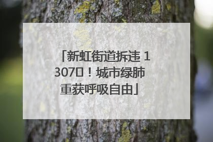 新虹街道拆违 1307㎡！城市绿肺重获呼吸自由