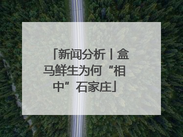 新闻分析丨盒马鲜生为何“相中”石家庄
