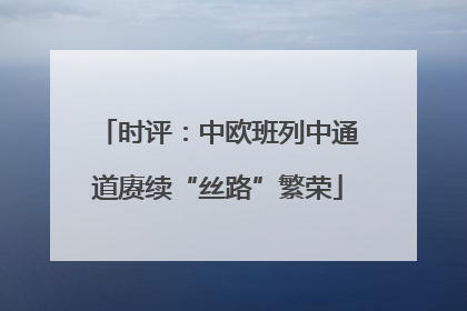 时评：中欧班列中通道赓续“丝路”繁荣