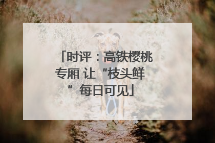 时评：高铁樱桃专厢 让“枝头鲜”每日可见