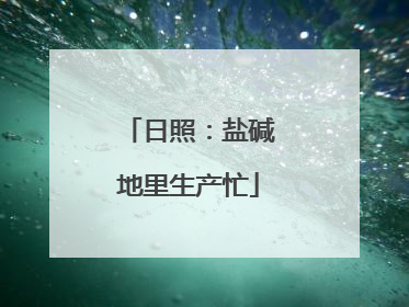 日照：盐碱地里生产忙
