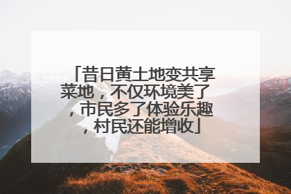 昔日黄土地变共享菜地，不仅环境美了，市民多了体验乐趣，村民还能增收