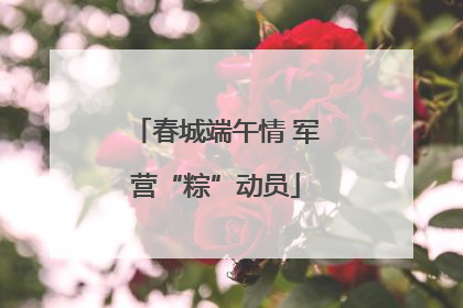 春城端午情 军营“粽”动员