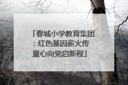 春城小学教育集团：红色基因薪火传 童心向党启新程