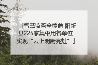 智慧监管全覆盖 阳新县225家集中用餐单位实现“云上明厨亮灶”