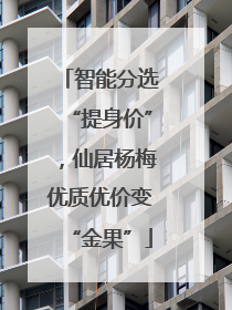 智能分选“提身价”，仙居杨梅优质优价变“金果”
