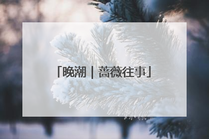 晚潮｜蔷薇往事