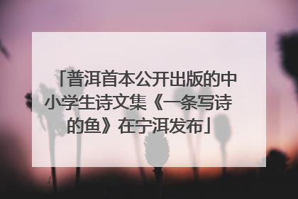 普洱首本公开出版的中小学生诗文集《一条写诗的鱼》在宁洱发布