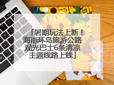 暑期玩法上新！海南环岛旅游公路观光巴士6条清凉主题线路上线