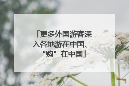 更多外国游客深入各地游在中国、“购”在中国