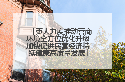 更大力度推动营商环境全方位优化升级加快促进民营经济持续健康高质量发展