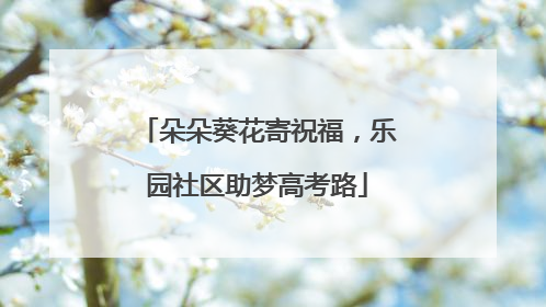 朵朵葵花寄祝福，乐园社区助梦高考路