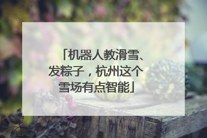 机器人教滑雪、发粽子，杭州这个雪场有点智能
