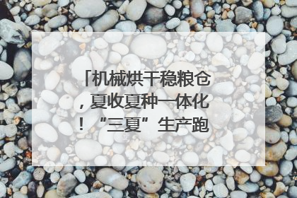 机械烘干稳粮仓，夏收夏种一体化！“三夏”生产跑出加速度｜麦报